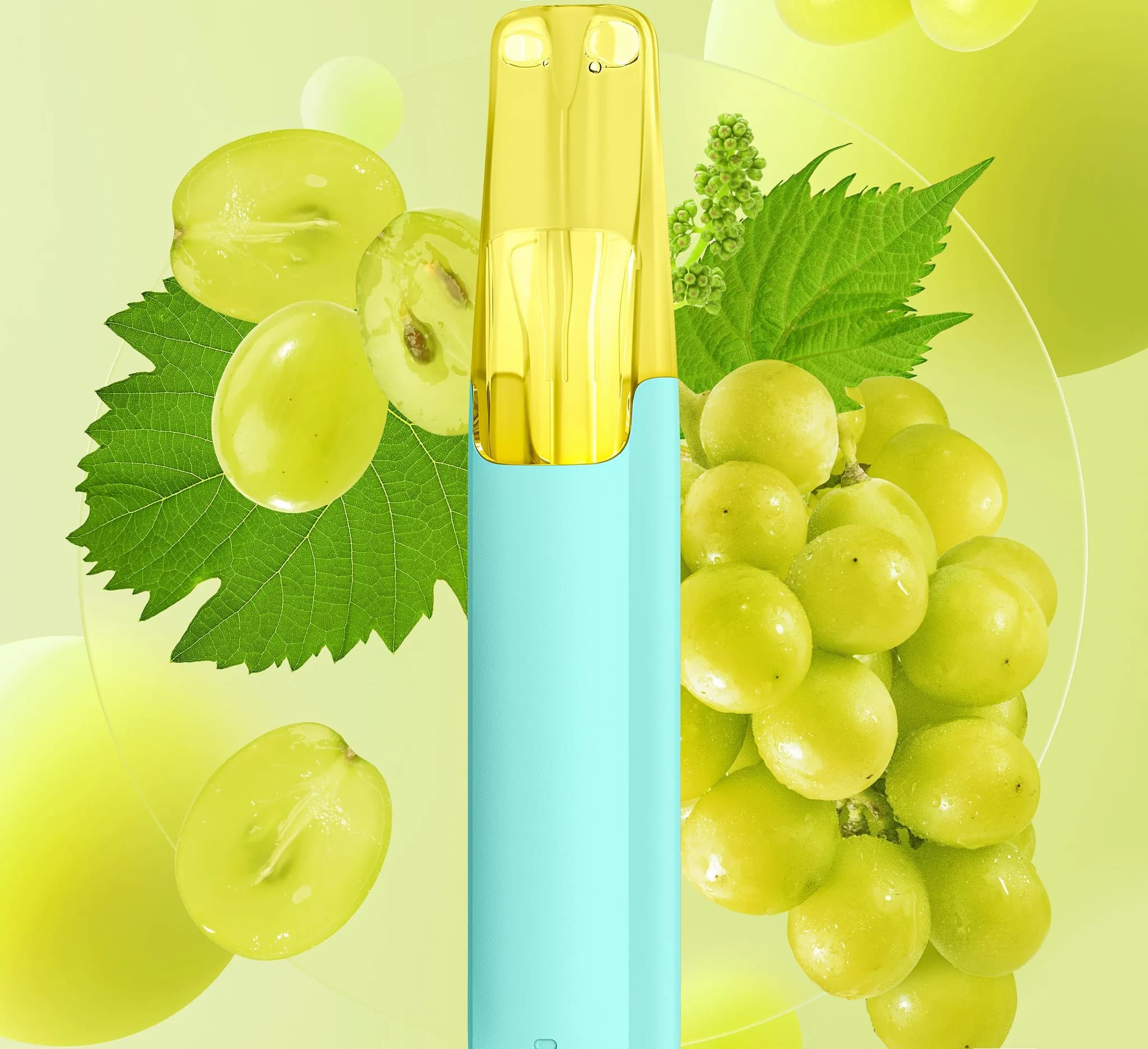 A Snowplus Dash in cyan and yellow, framed by green grapes and vine leaves.